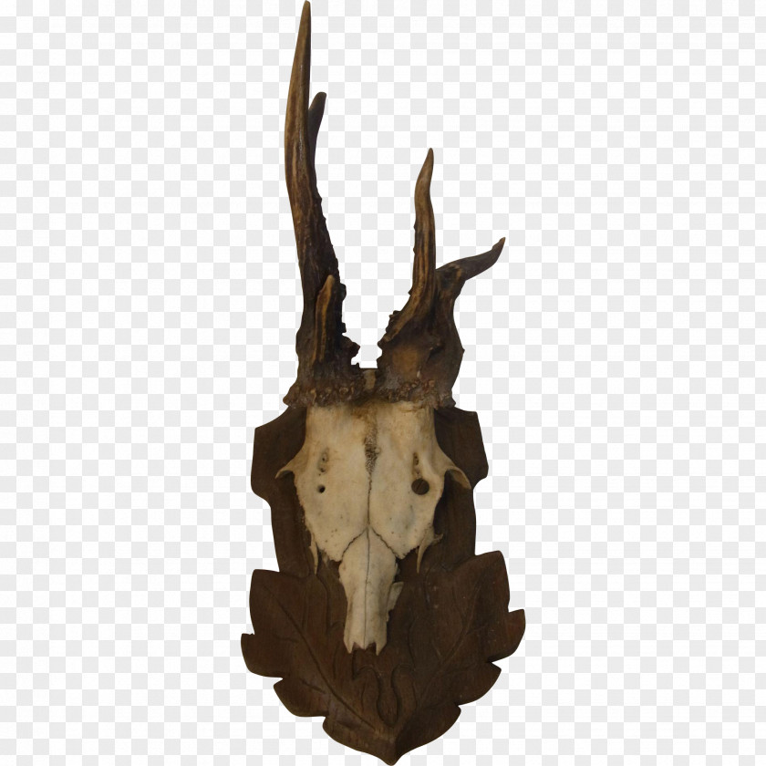 Antlers Deer Trophy Hunting Horn PNG