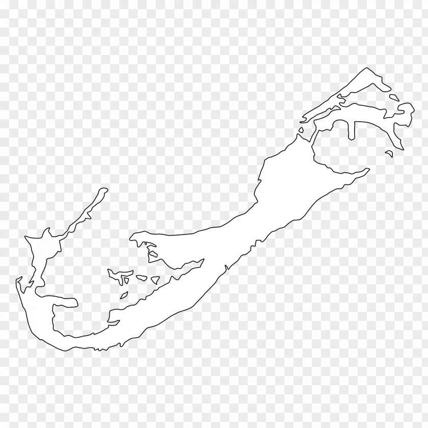 Bermuda Sketch Illustration Finger Mammal Drawing PNG