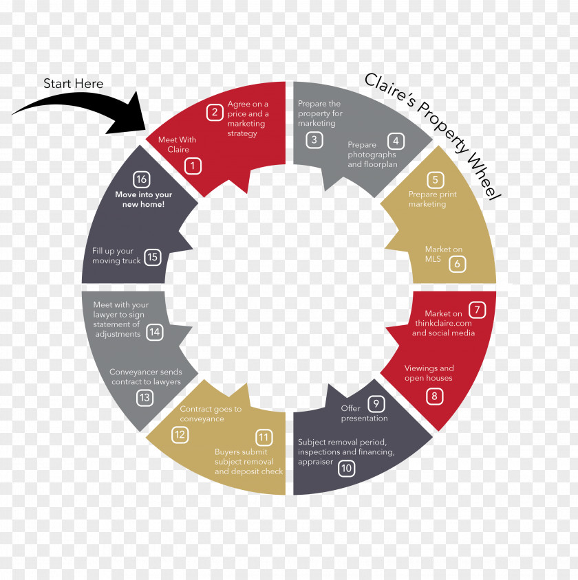 Info-graphic Analogous Colors Color Wheel Theory Complementary PNG