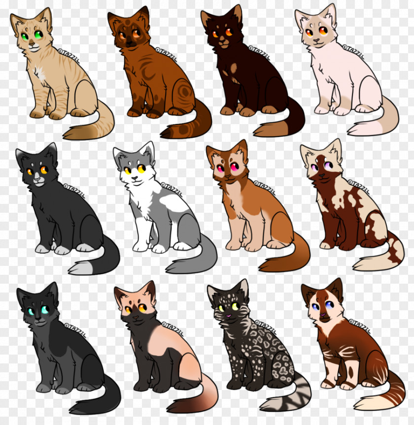 Kitten Whiskers Domestic Short-haired Cat Wildcat Dog Breed PNG
