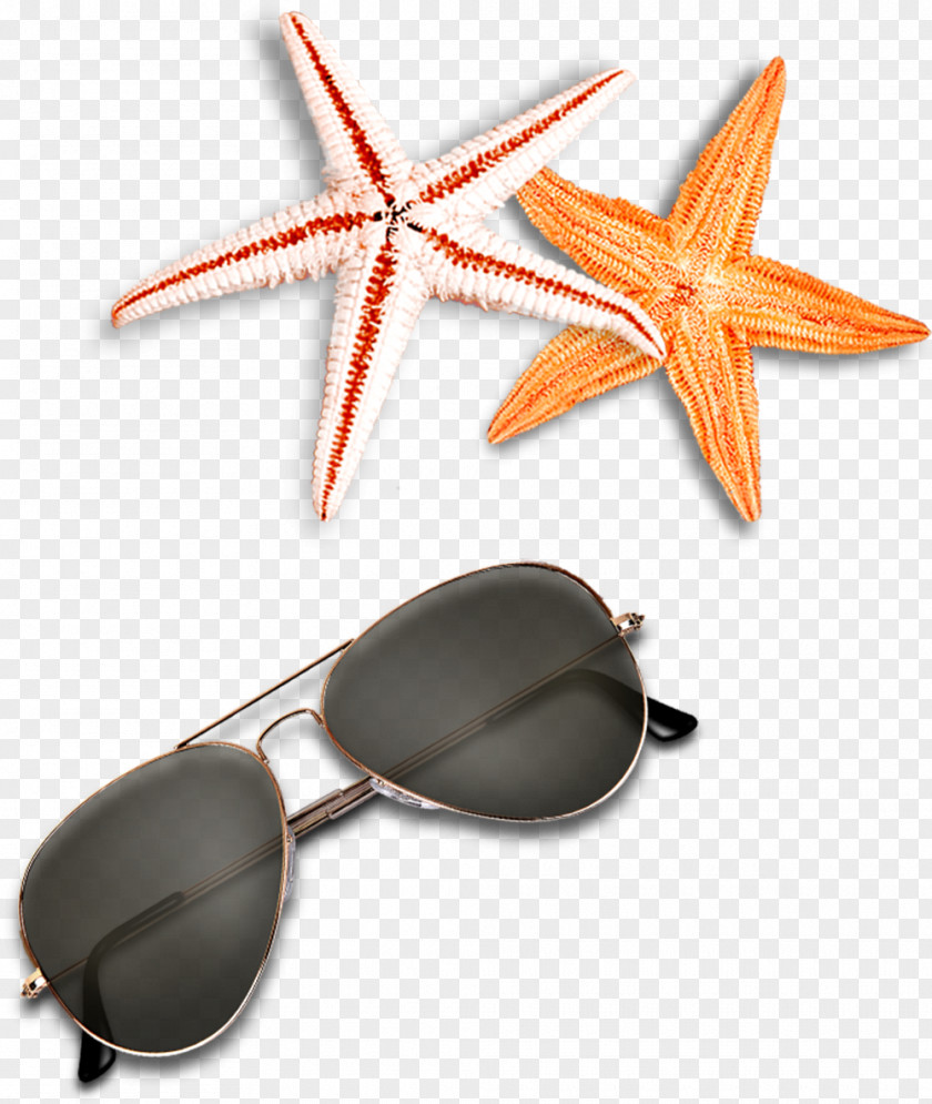 Starfish Sunglasses Beach Elements PNG