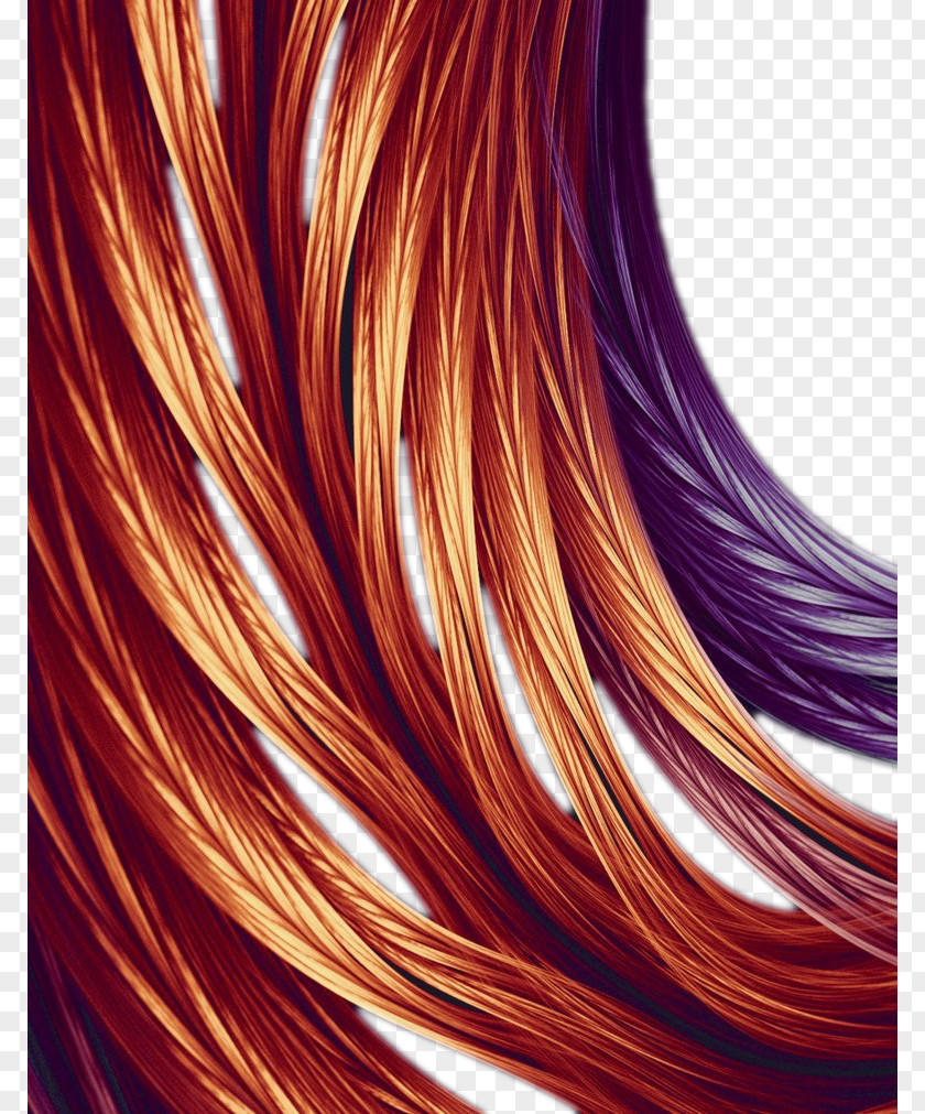 Brown And Purple Smooth Hair Capelli PNG