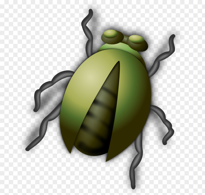 Bug Clip Art Beetle Free Content PNG