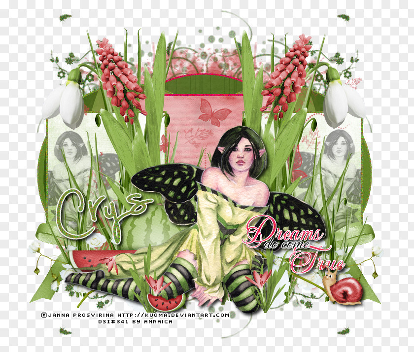 Creative Watermelon Floral Design Fairy Flowering Plant PNG