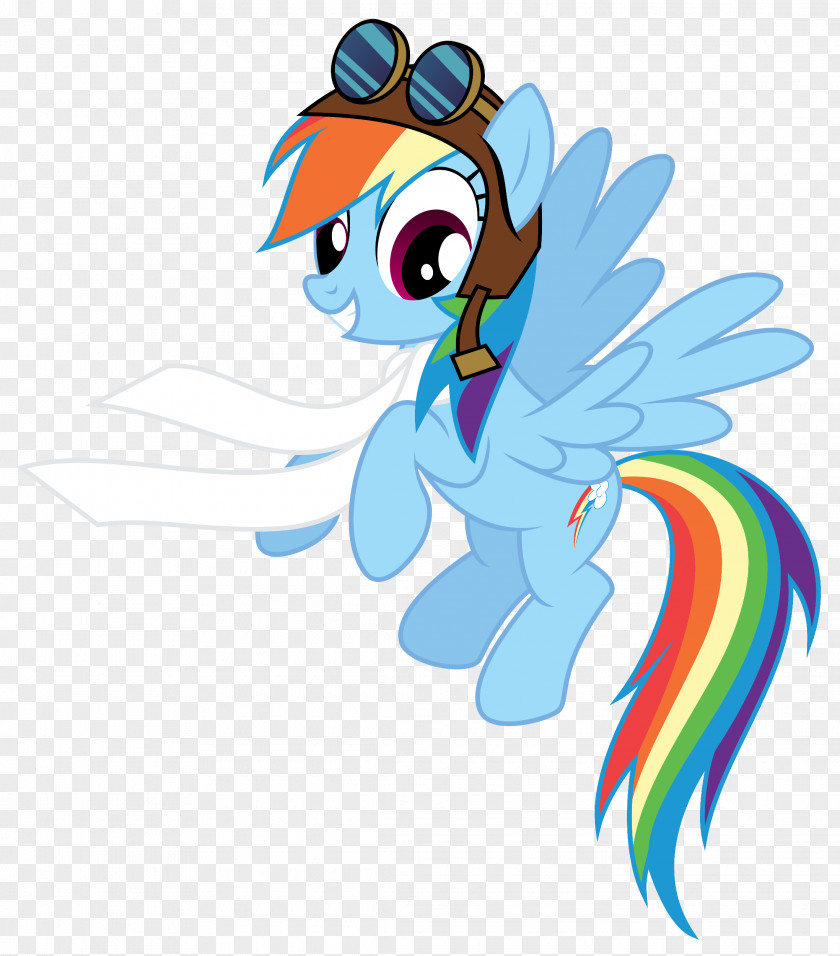 My Little Pony Rainbow Dash Drawing Image PNG