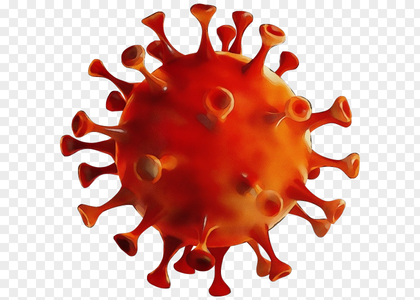 2019–20 Coronavirus Pandemic Virus Disease 2019 Health PNG