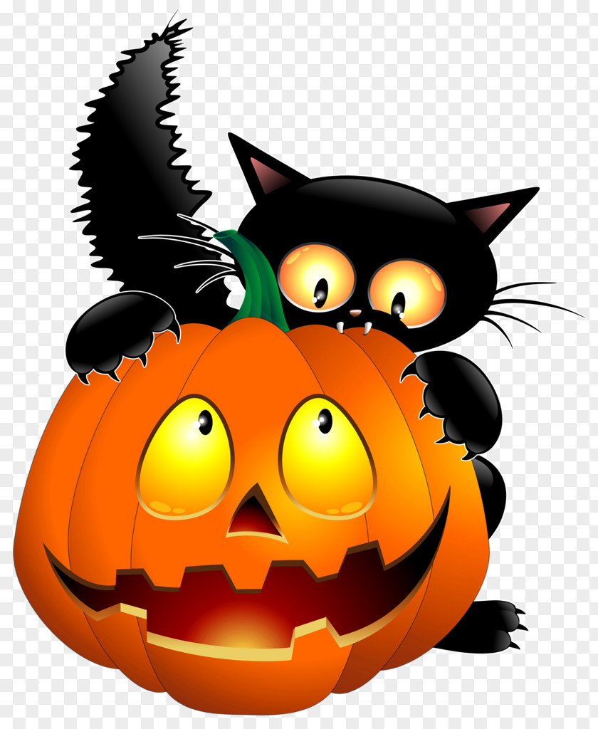 Cat Whiskers Jack-o'-lantern Halloween Clip Art PNG