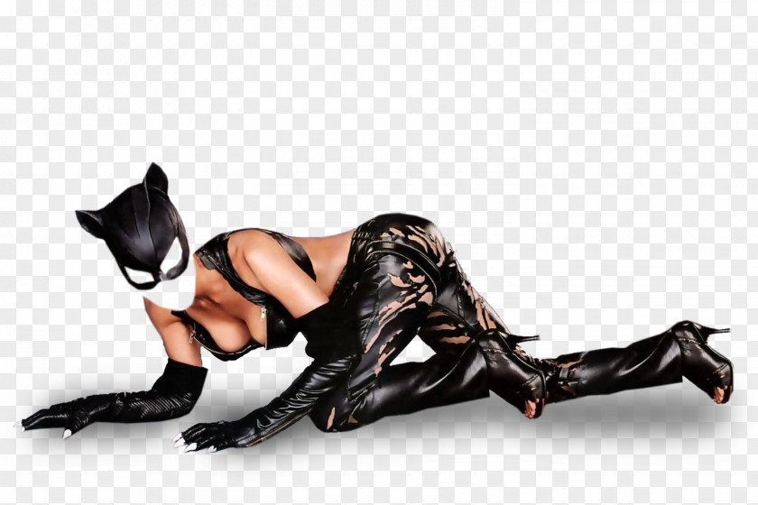 Catwoman Costume Computer Software PNG