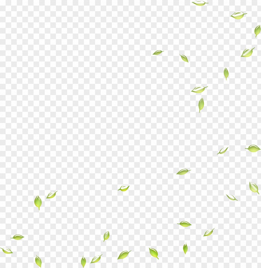 Falling Green Leaves Google Images Search Engine Leaf Deciduous PNG
