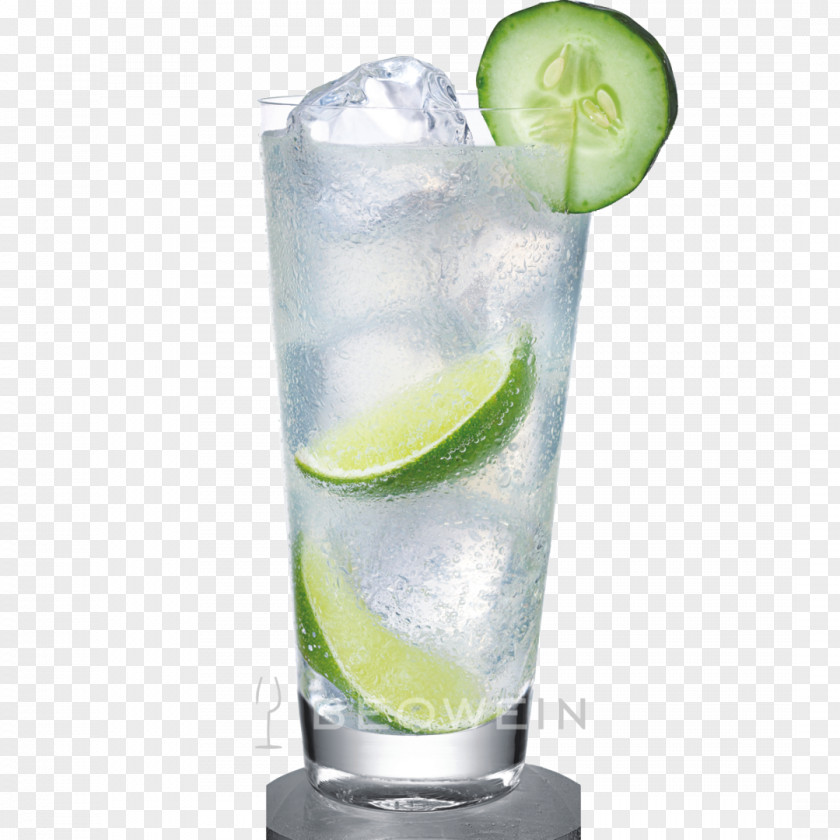 Glas Cocktail Gin And Tonic Vodka Rickey Sea Breeze PNG
