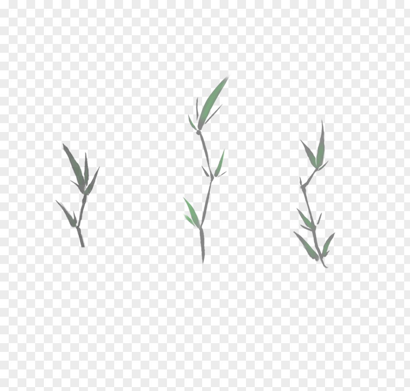 Grass Green Leaf Angle Pattern PNG