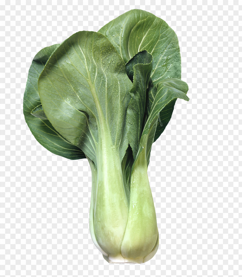 Green Vegetables Cabbage Chinese Cuisine Bok Choy Vegetable Chard PNG