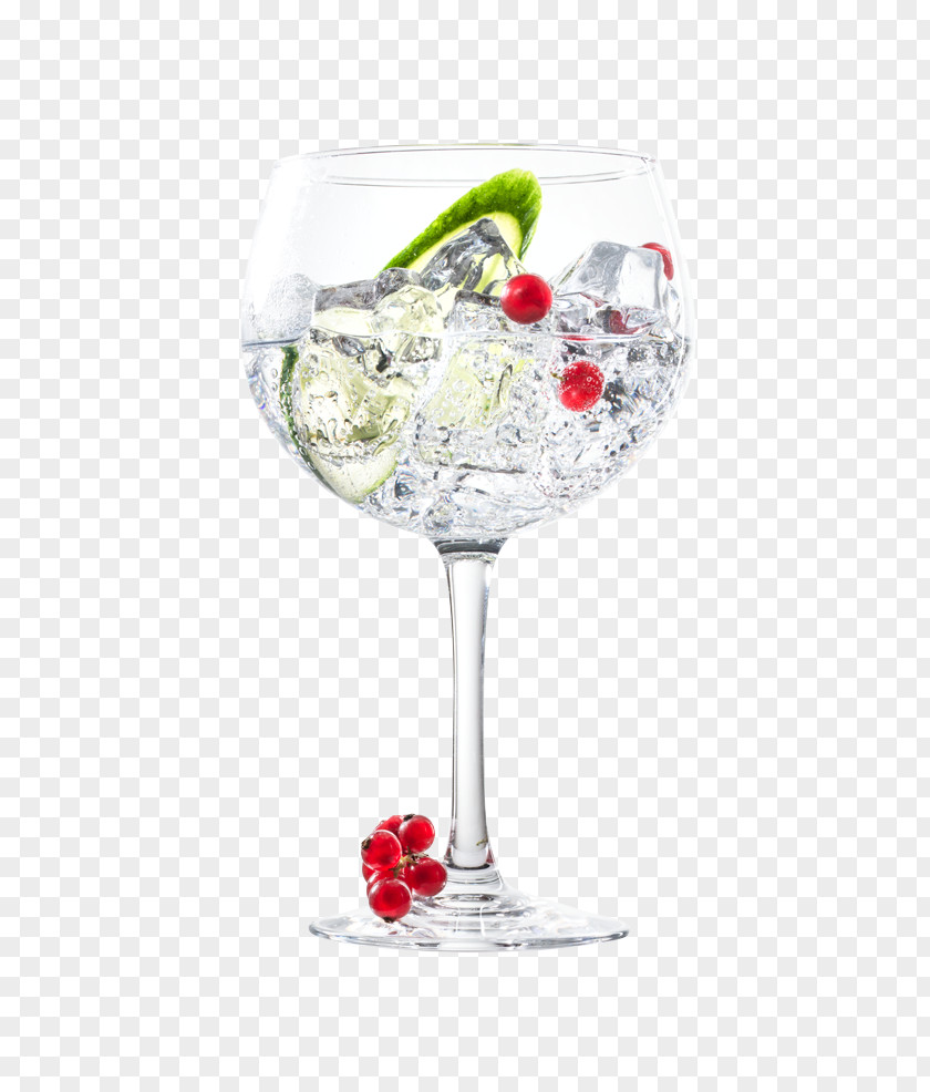 Hand-painted Fresh Spices Gin And Tonic Cocktail Garnish Martini PNG