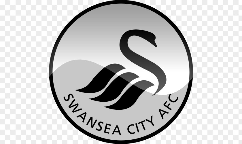 Swansea City A.F.C. Ladies F.C. Bournemouth Premier League PNG