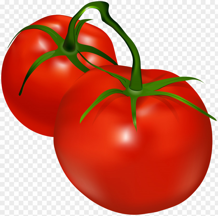 Tomatoes Transparent Clip Art Tomato Shalgam PNG