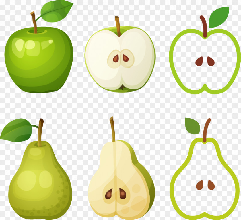 Vector Cartoon Green Apple Pear Photography Clip Art PNG