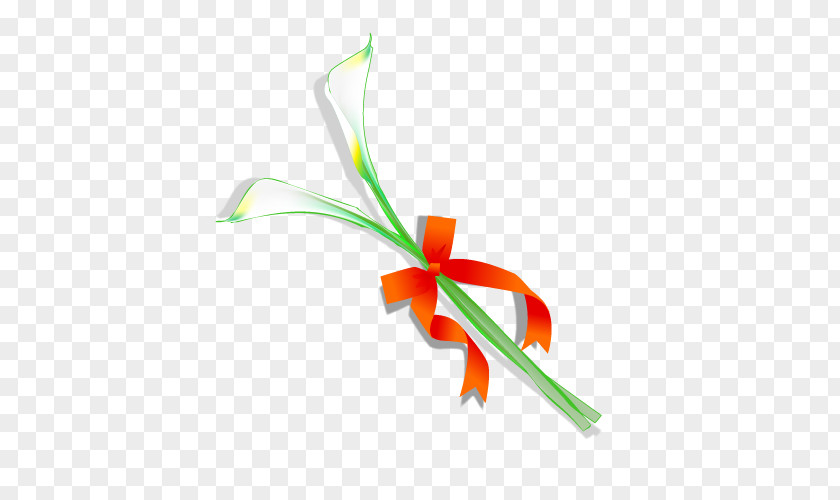 Vector Smooth Sailing Flower Graphic Design Carnation Drawing PNG