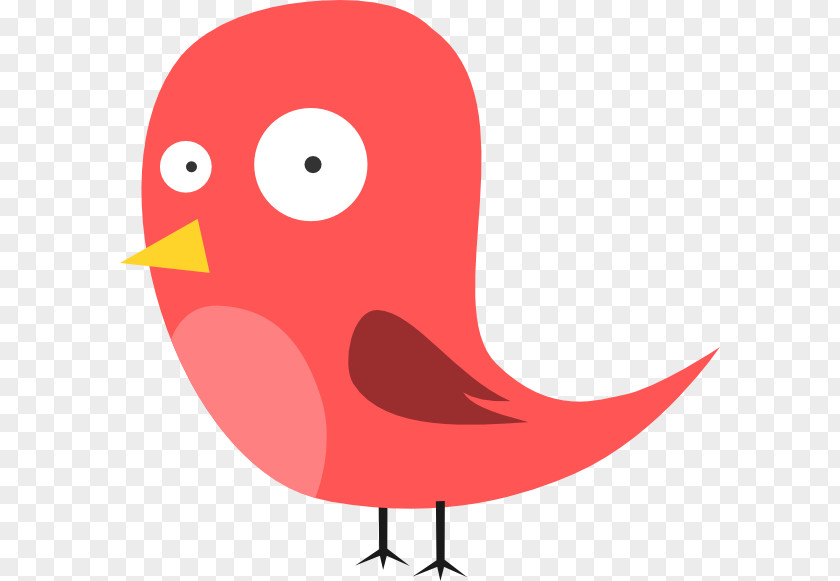 Bird Cartoon Piracy Clip Art PNG