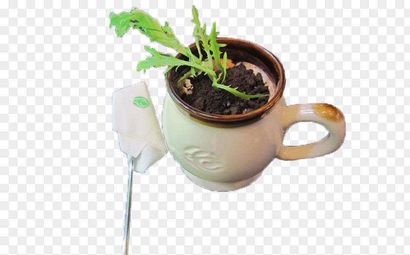 Chocolate Potted Drink Tea Coffee Cup Milk Carbonated Water PNG