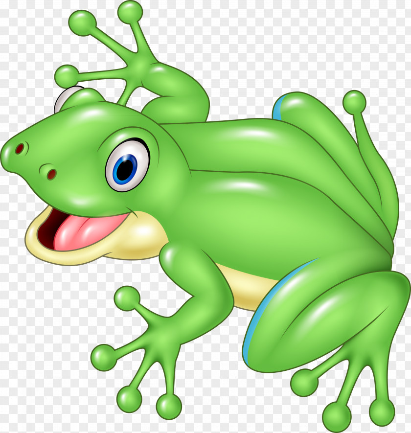 Vector Frog Cartoon Royalty-free Illustration PNG