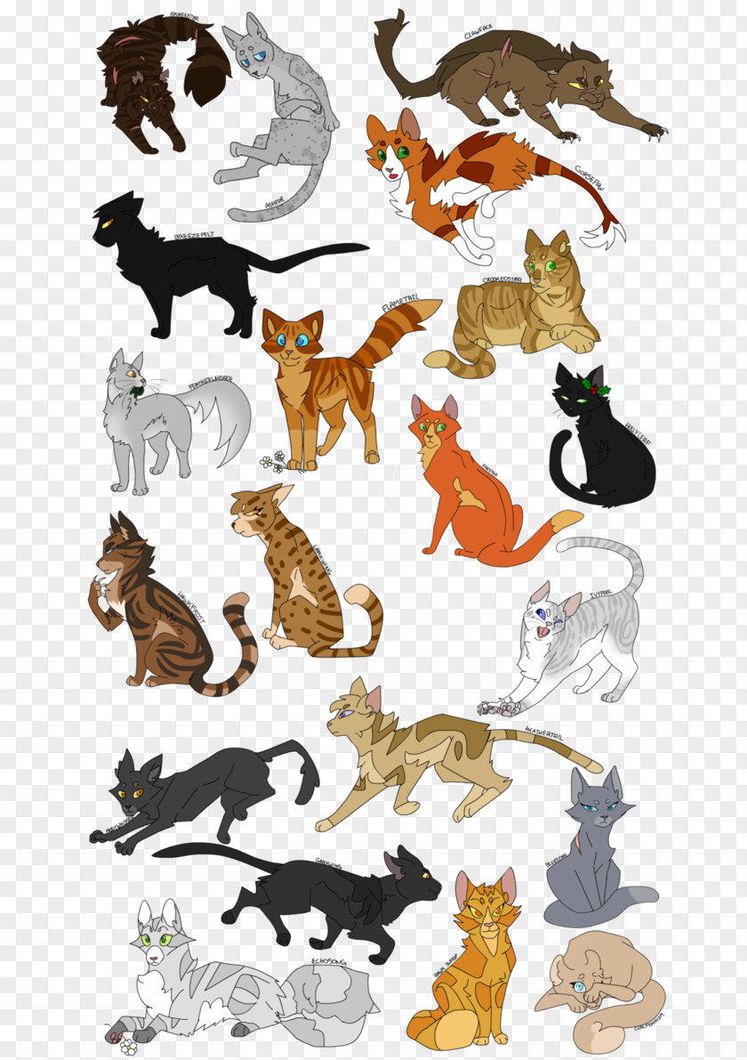 Cat Warriors Art Drawing PNG