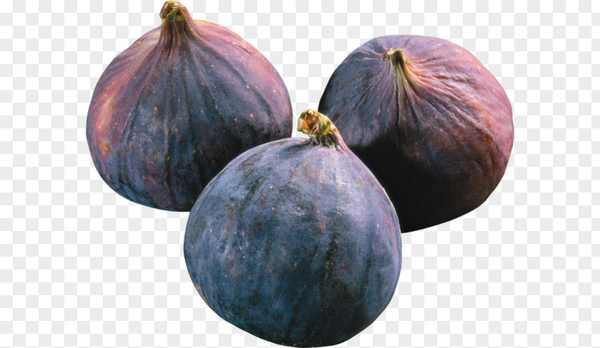 Fig Photo Fruit Common Gourd Auglis PNG