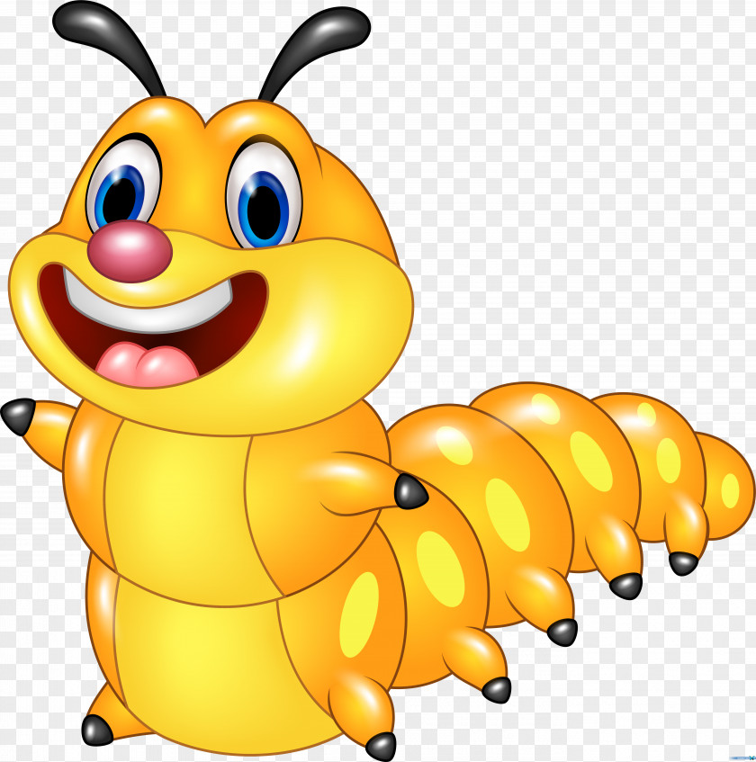 Insect Photography Clip Art PNG