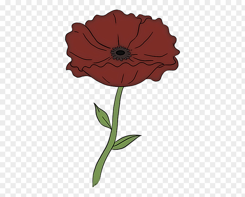 Poppy Zinnia Flower Plant Red Petal Flowering PNG