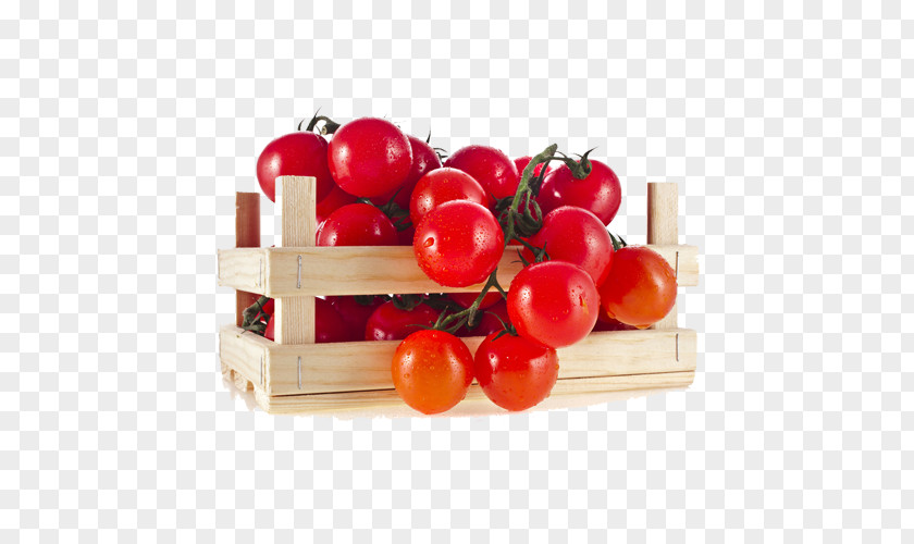 Red Tomatoes Vegetable Tomato Fruit Auglis Ingredient PNG