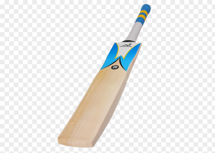 Stationary Bike Stand Cricket Bats India National Team Batting Clothing And Equipment PNG