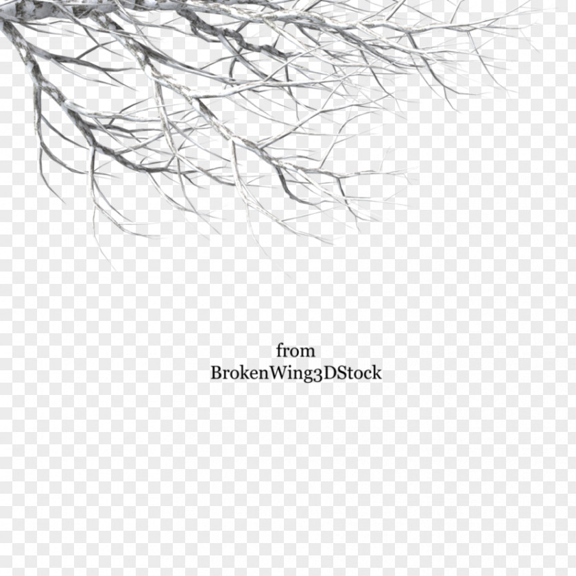 Tree Branch Clip Art Twig PNG