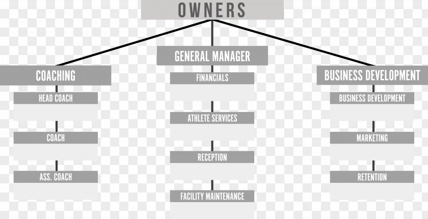 Business Organizational Structure Corporate PNG