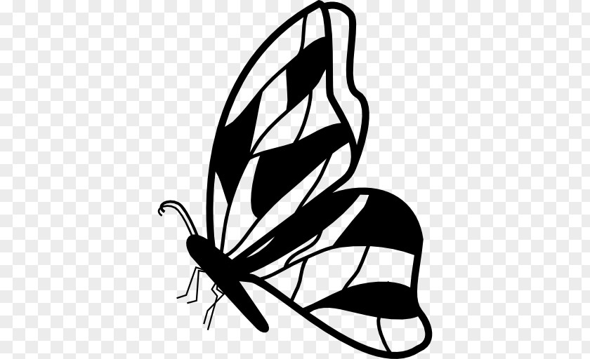 Irregular Vector Butterfly Insect Drawing Clip Art PNG