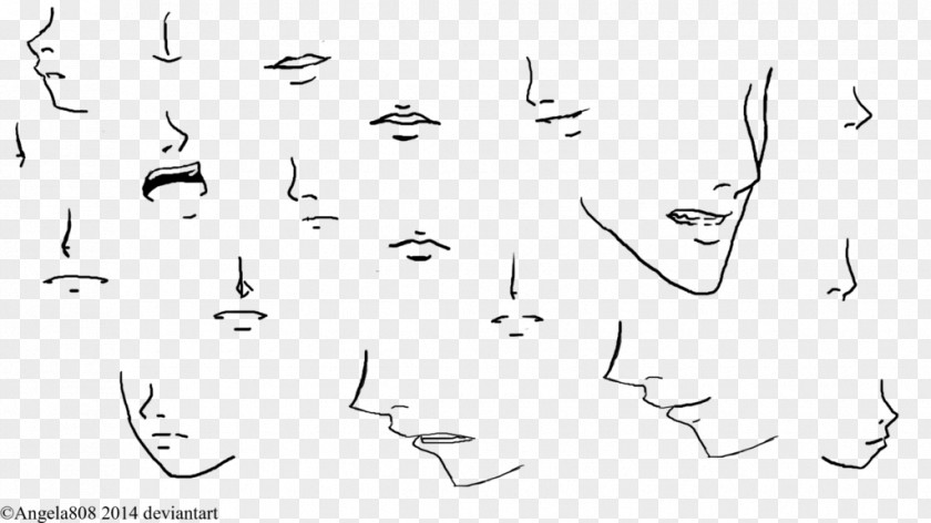 Nose Drawing Line Art PNG