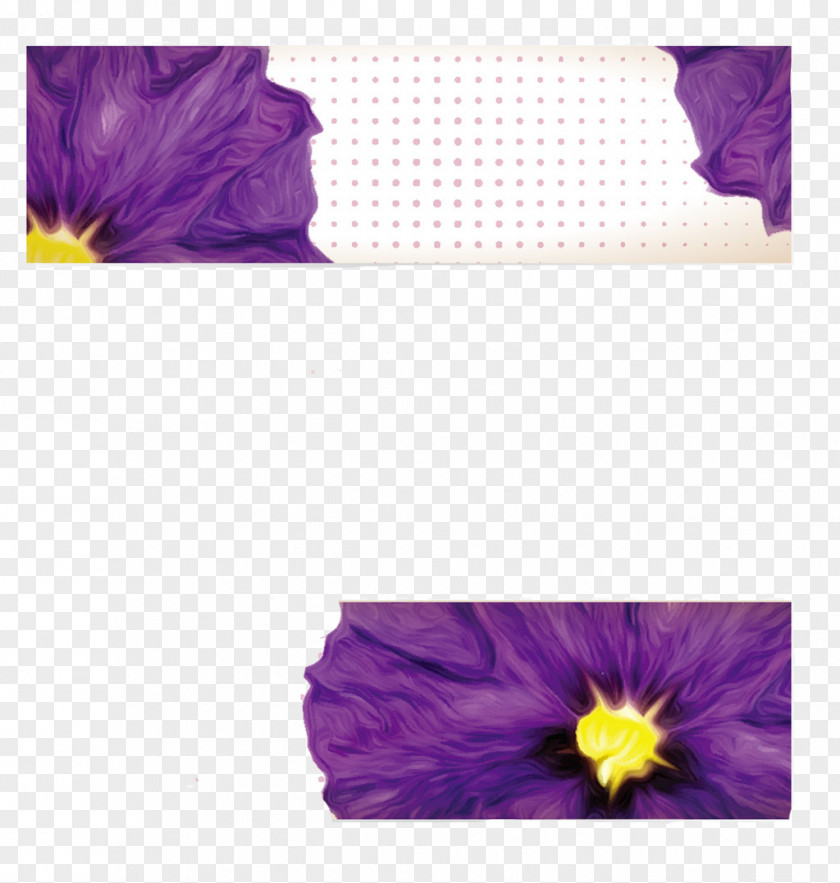Notes Petals Petal Violet Banner Flower PNG