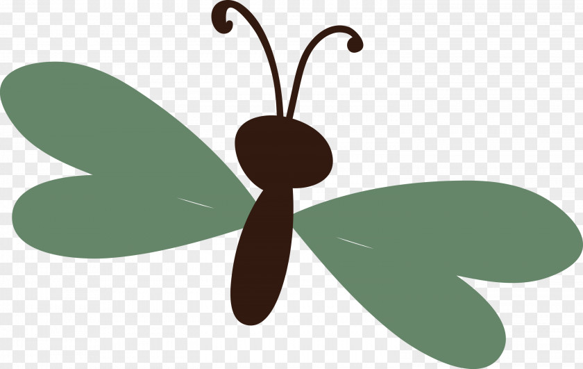 Butterflies Insect Leaf Cell Membrane Meter PNG