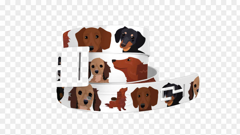 Dachshunds Dog Breed Dachshund Puppy Leash Horse PNG