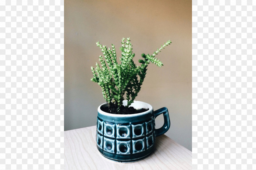 Design Flowerpot Ceramic Herb Houseplant PNG