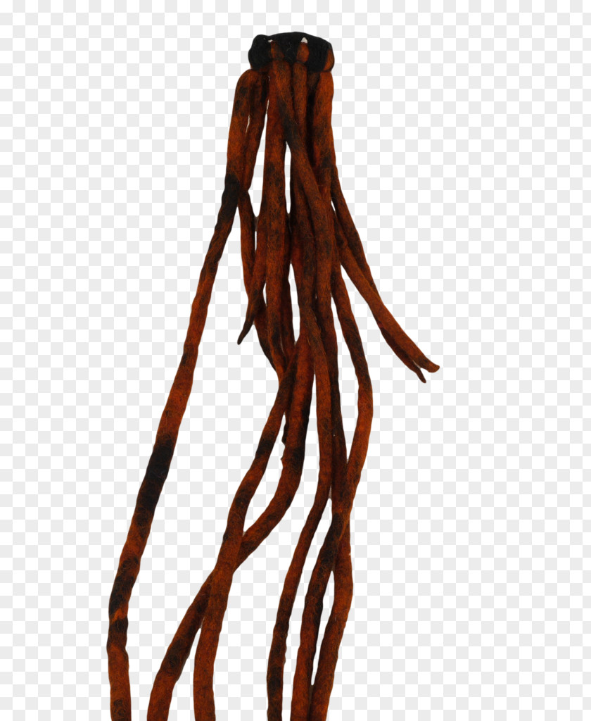 Brown Hair Tie Dreadlocks Wool Hat PNG
