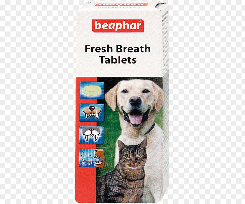 Dog Mouthwash Tablet Tooth Odor PNG