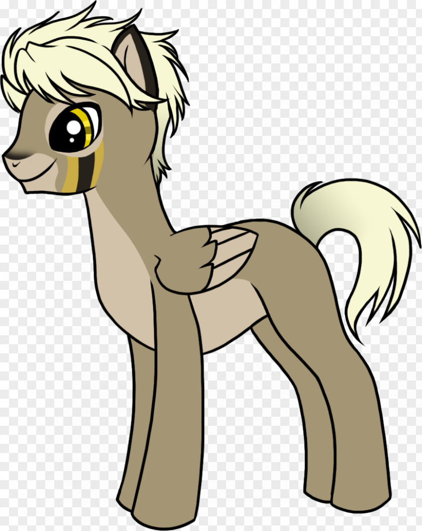 Mustang Pony Mane Cat Canidae PNG