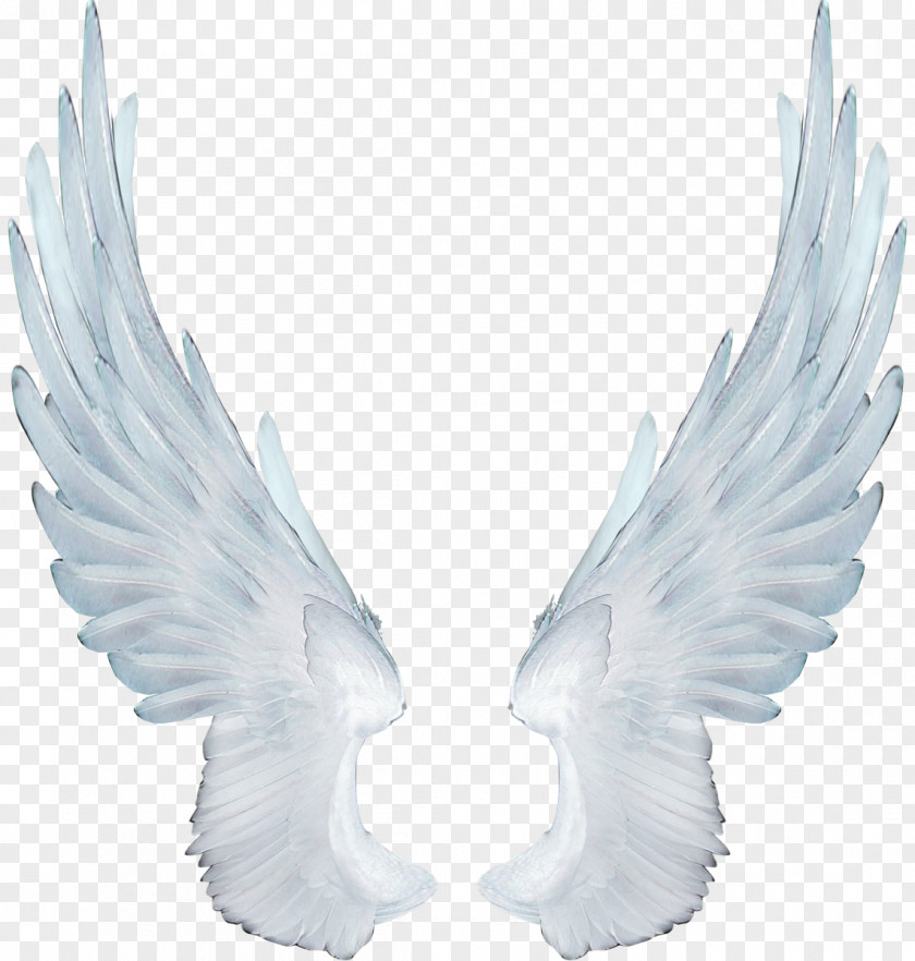 Wings Desktop Wallpaper Clip Art PNG