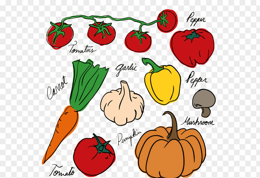 All Kinds Of Vegetables Vegetable Drawing Fruit Tomato PNG