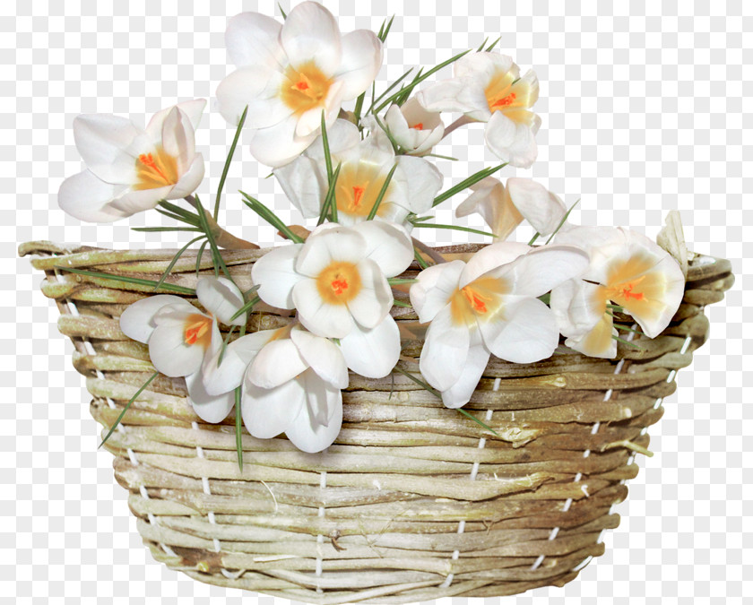 Baskets Child Flower Basket Illustration PNG