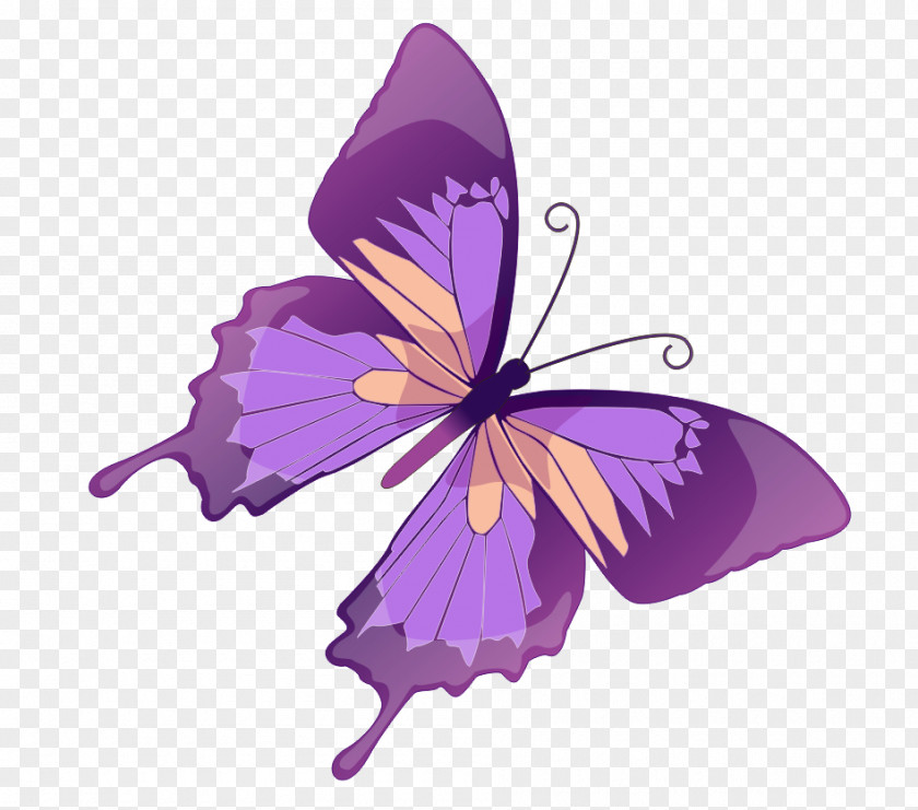 Butterfly Royalty-free Photography Clip Art PNG