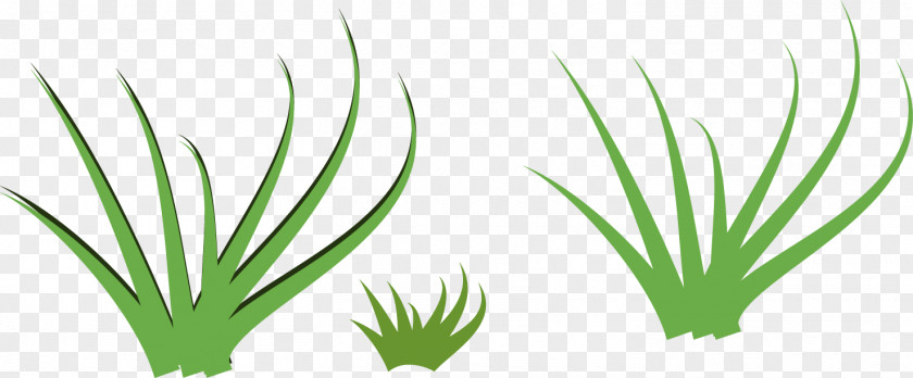 Cartoon Painted Fresh Grass Download PNG