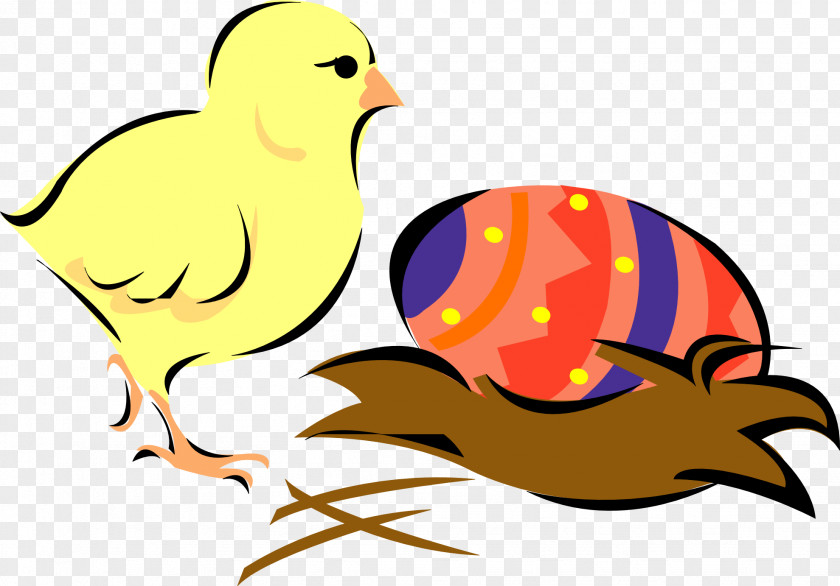 Chick Easter Bunny Chicken Clip Art PNG