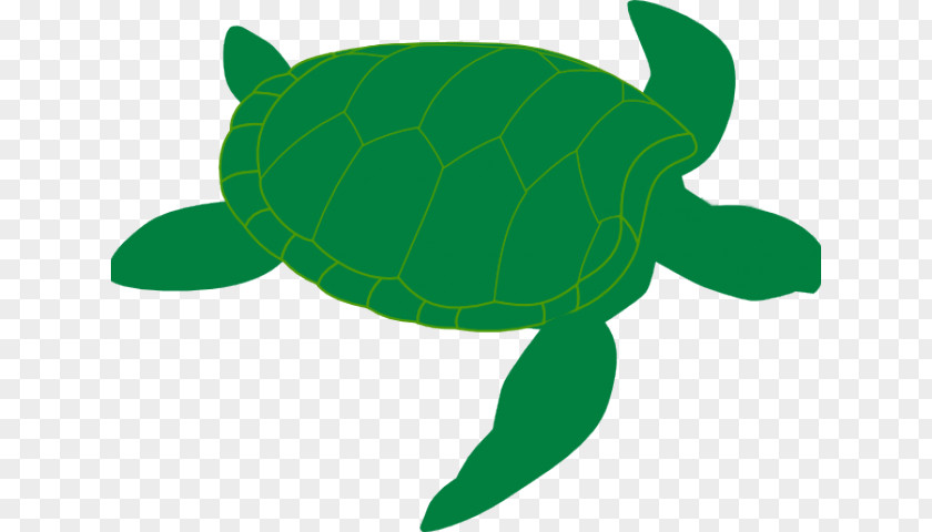 Default Watercolor Sea Turtle Clip Art Openclipart Reptile PNG