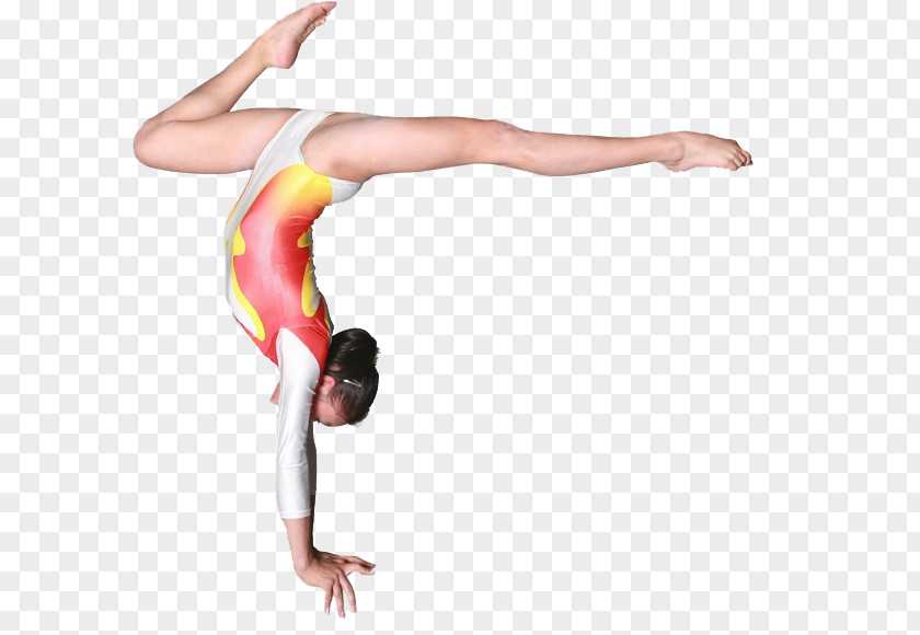 Gymnastics Physical Fitness Balance Beam Strength Training Exercise PNG