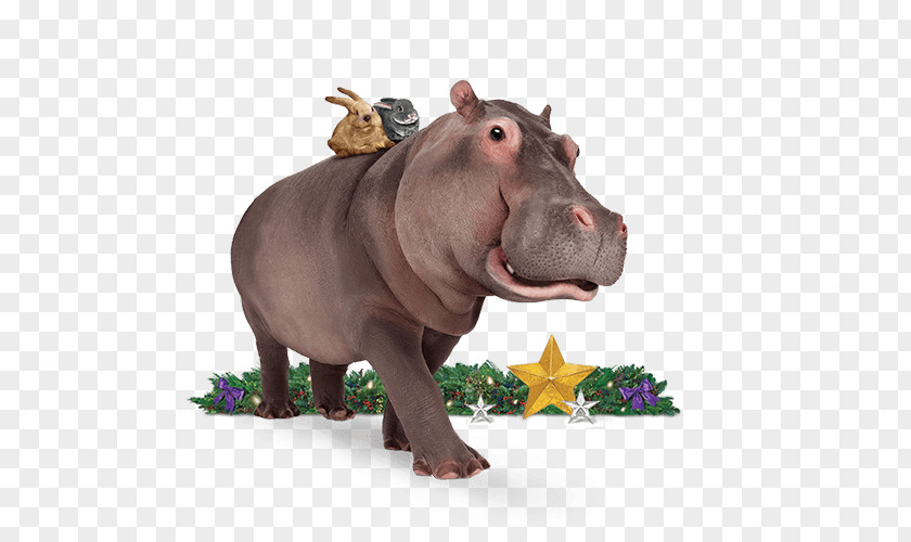Telus Mobility Hippopotamus Terrestrial Animal Wildlife Snout PNG